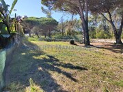 Terreno Urbano - Vau, bidos, Leiria - Miniatura: 5/9