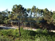 Terreno Urbano - Vau, bidos, Leiria - Miniatura: 6/9