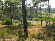 Terreno Urbano - Vau, bidos, Leiria - Miniatura: 7/7