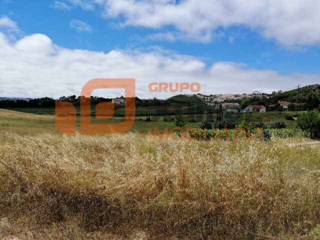 Terreno Rústico - Santa Maria, Óbidos, Leiria - Imagem grande