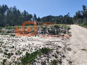 Terreno Rstico - Santo Onofre, Caldas da Rainha, Leiria - Miniatura: 6/6