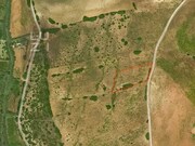 Terreno Rstico - Vila do Bispo, Vila do Bispo, Faro (Algarve) - Miniatura: 6/9