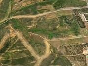 Terreno Rstico - Vila do Bispo, Vila do Bispo, Faro (Algarve) - Miniatura: 1/9