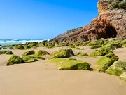 Terreno Rstico - Vila do Bispo, Vila do Bispo, Faro (Algarve) - Miniatura: 7/9