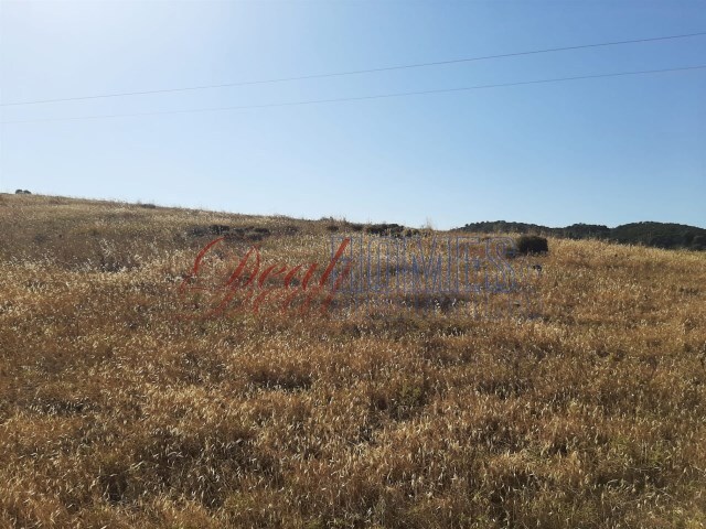 Terreno Rústico - Bensafrim, Lagos, Faro (Algarve) - Imagem grande