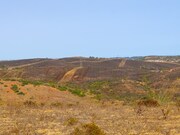 Terreno Rstico - Vila do Bispo, Vila do Bispo, Faro (Algarve) - Miniatura: 6/9
