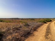 Terreno Rstico - Vila do Bispo, Vila do Bispo, Faro (Algarve) - Miniatura: 8/9