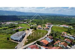 Terreno Rstico - Aljubarrota, Alcobaa, Leiria