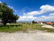 Terreno Rstico - Aljubarrota, Alcobaa, Leiria - Miniatura: 4/4