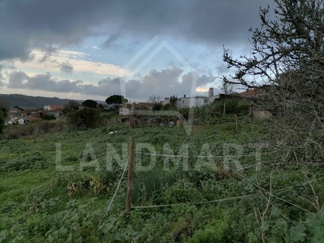 Terreno Rústico - Santa Catarina, Caldas da Rainha, Leiria - Imagem grande