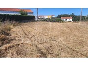 Terreno Rstico - Aljubarrota, Alcobaa, Leiria - Miniatura: 2/6
