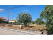 Terreno Rstico - Aljubarrota, Alcobaa, Leiria - Miniatura: 4/6