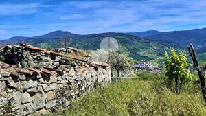 Moradia T2 - Av�, Oliveira do Hospital, Coimbra - Miniatura: 7/8