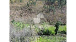 Quinta T2 - Arganil, Arganil, Coimbra - Miniatura: 6/8
