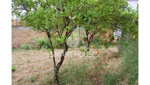 Moradia T2 - Covelo, T�bua, Coimbra - Miniatura: 26/31