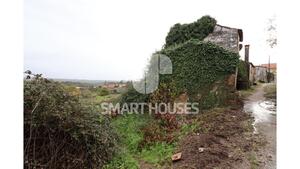 Moradia T3 - Covelo, T�bua, Coimbra - Miniatura: 3/7