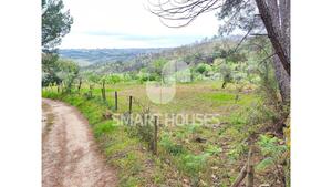Quinta T1 - Mid�es, T�bua, Coimbra - Miniatura: 11/27