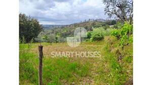 Quinta T1 - Mid�es, T�bua, Coimbra - Miniatura: 13/27