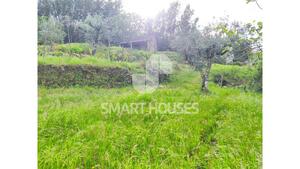 Quinta T1 - Mid�es, T�bua, Coimbra - Miniatura: 15/27