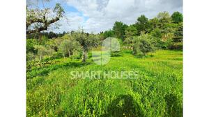 Quinta T1 - Mid�es, T�bua, Coimbra - Miniatura: 16/27