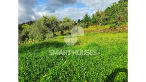 Quinta T1 - Mid�es, T�bua, Coimbra - Miniatura: 17/27