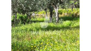 Quinta T1 - Mid�es, T�bua, Coimbra - Miniatura: 18/27