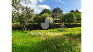 Quinta T1 - Mid�es, T�bua, Coimbra - Miniatura: 21/27