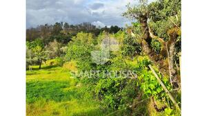 Quinta T1 - Mid�es, T�bua, Coimbra - Miniatura: 23/27