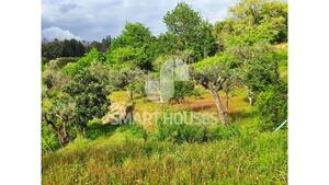 Quinta T1 - Mid�es, T�bua, Coimbra - Miniatura: 24/27
