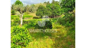 Quinta T1 - Mid�es, T�bua, Coimbra - Miniatura: 26/27