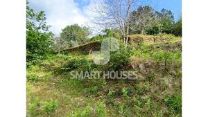 Quinta T1 - Mid�es, T�bua, Coimbra - Miniatura: 27/27
