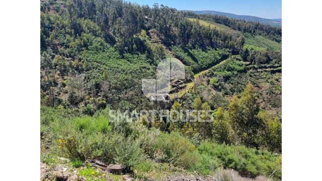 Terreno Rstico - Cerdeira, Arganil, Coimbra - Imagem grande