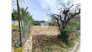 Moradia T4 - S. Jo�o da Boavista, T�bua, Coimbra - Miniatura: 3/39