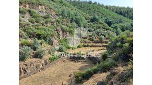 Quinta T1 - Benfeita, Arganil, Coimbra - Miniatura: 3/10