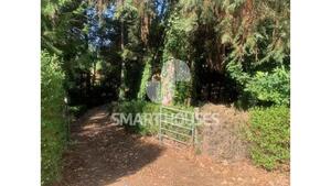 Moradia T1 - Secarias, Arganil, Coimbra - Miniatura: 1/8