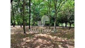 Moradia T1 - Secarias, Arganil, Coimbra - Miniatura: 2/8