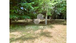 Moradia T1 - Secarias, Arganil, Coimbra - Miniatura: 5/8