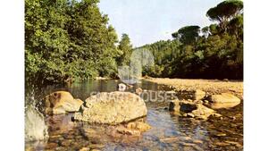 Moradia T1 - Secarias, Arganil, Coimbra - Miniatura: 8/8