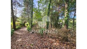 Moradia T1 - Secarias, Arganil, Coimbra - Miniatura: 1/31