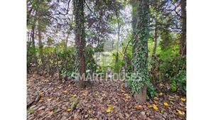 Moradia T1 - Secarias, Arganil, Coimbra - Miniatura: 24/31