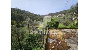 Moradia T3 - Fri�mes, Penacova, Coimbra - Miniatura: 37/39