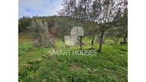 Moradia T3 - Fri�mes, Penacova, Coimbra - Miniatura: 38/39