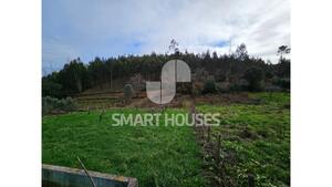 Moradia T3 - Fri�mes, Penacova, Coimbra - Miniatura: 39/39