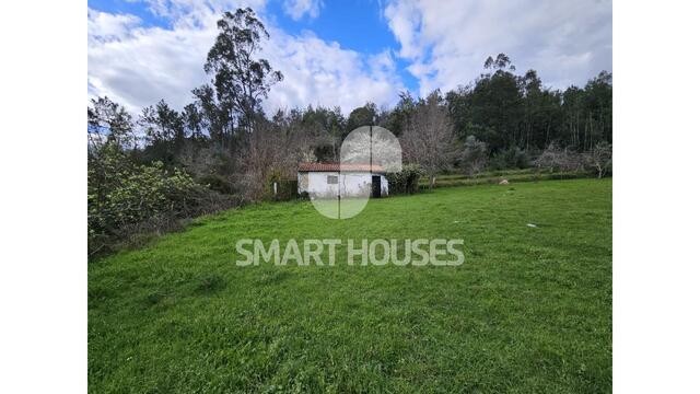 Terreno R�stico - Arganil, Arganil, Coimbra - Imagem grande