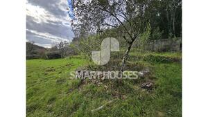 Terreno R�stico - Arganil, Arganil, Coimbra - Miniatura: 16/25