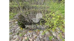 Terreno R�stico - Arganil, Arganil, Coimbra - Miniatura: 17/25