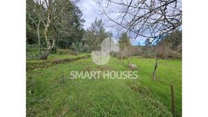 Terreno R�stico - Arganil, Arganil, Coimbra - Miniatura: 19/25