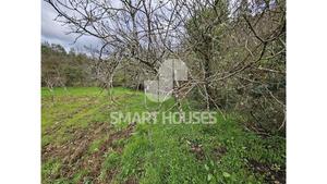 Terreno R�stico - Arganil, Arganil, Coimbra - Miniatura: 24/25