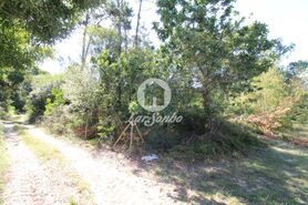 Terreno R�stico - Apulia, Esposende, Braga - Miniatura: 3/27