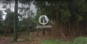 Terreno R�stico - Apulia, Esposende, Braga - Miniatura: 11/27